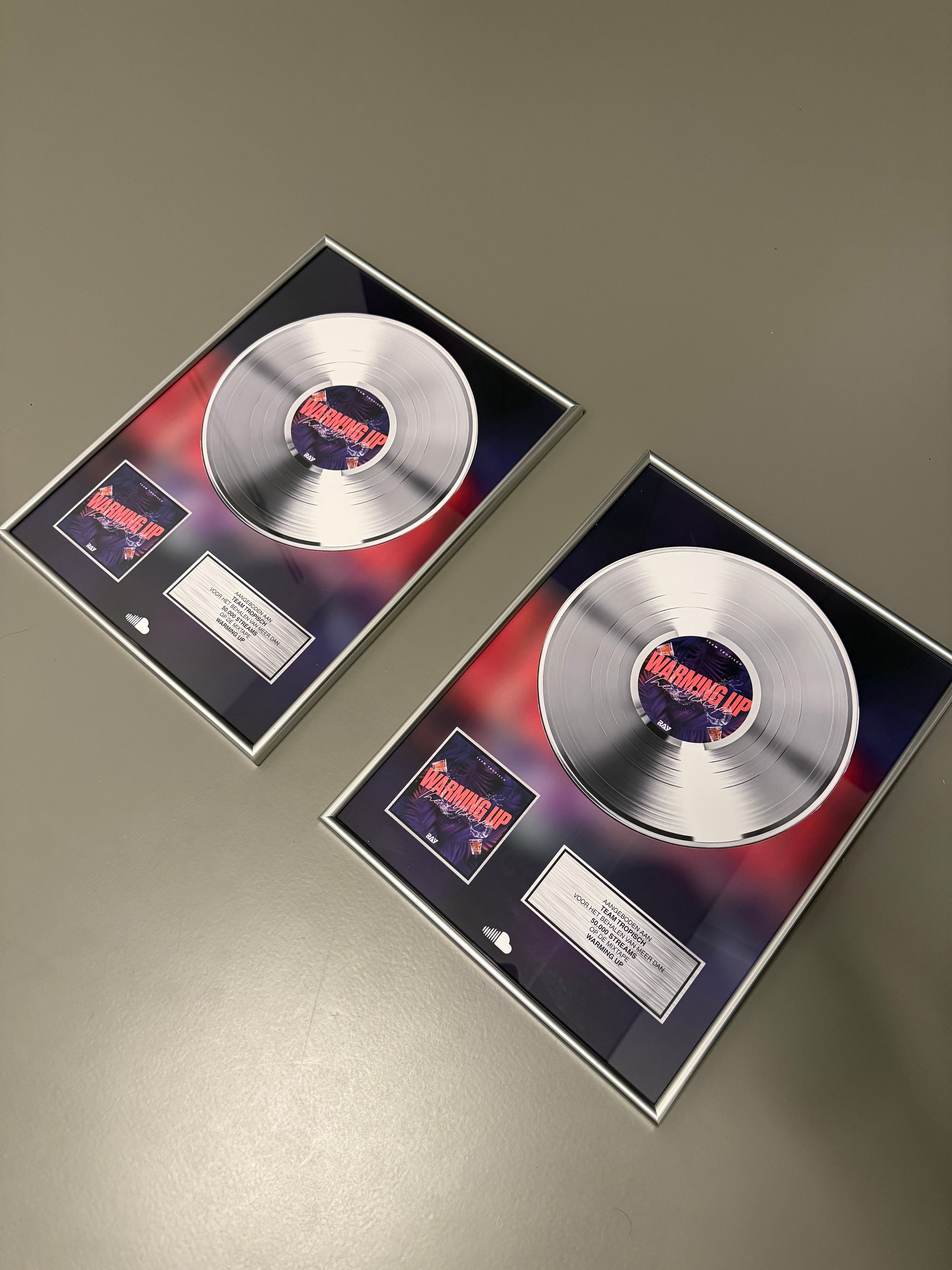 VINYL RECORD PRINT AWARD - ZILVER