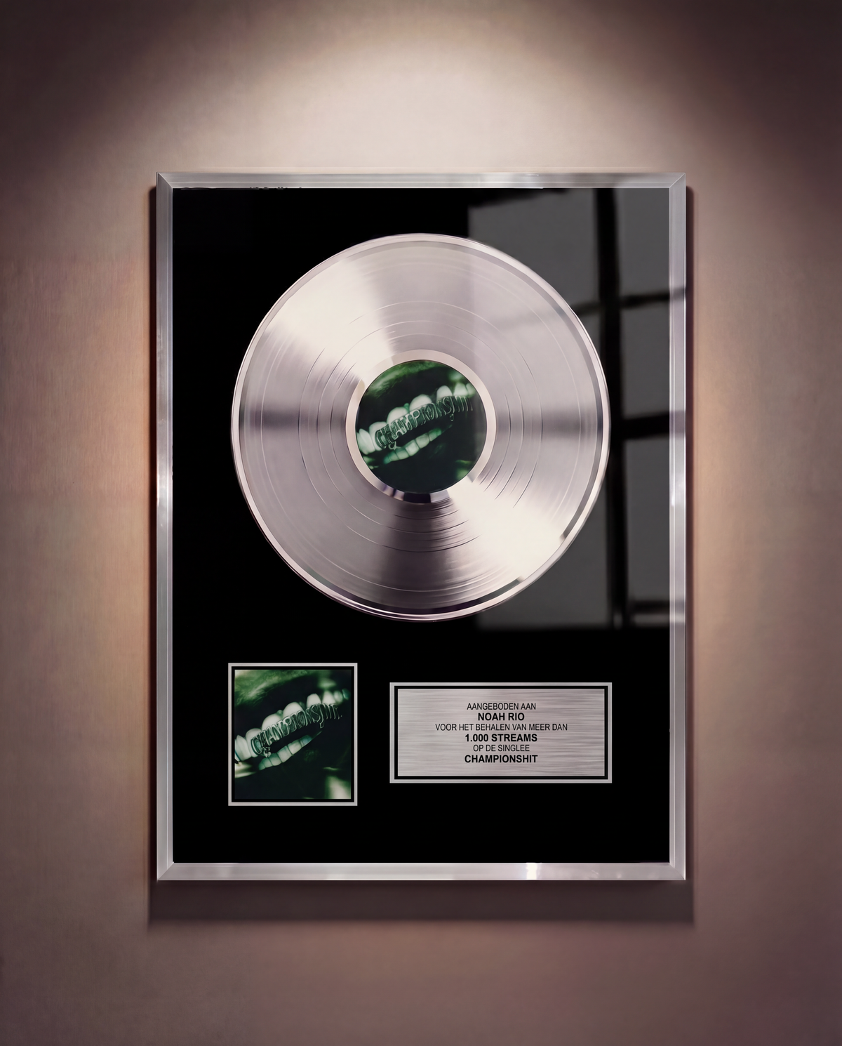 Vinyl Record Award PRINT — Zilver